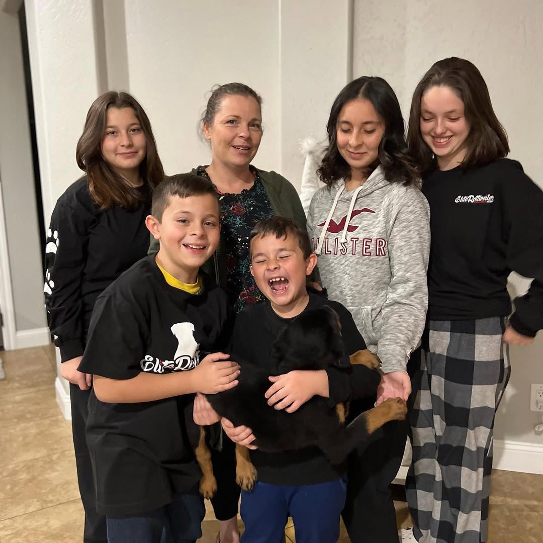 Rottweiler Family – Rottwiler Family